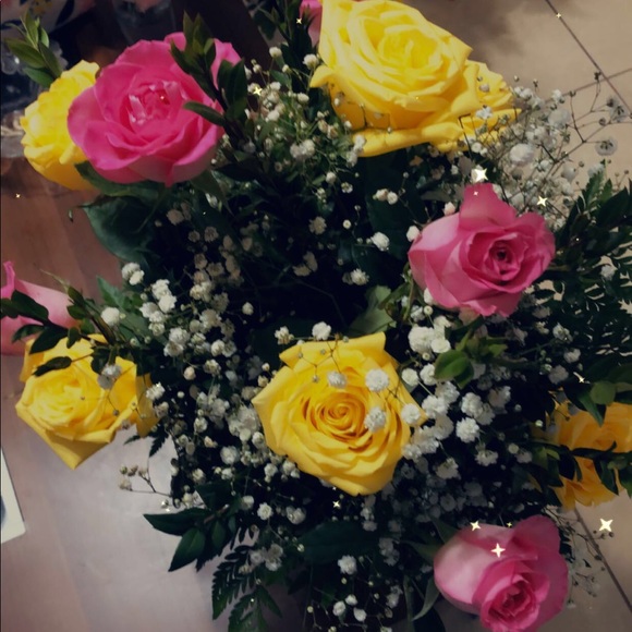 Meet your Posher, Rosy - Picture 1 of 1